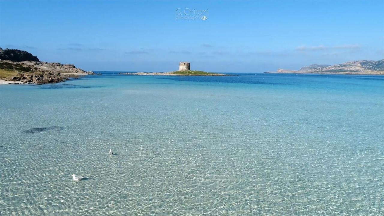 Apartamento Rosaspe Stintino Cuile Ezi Mannu Exterior foto
