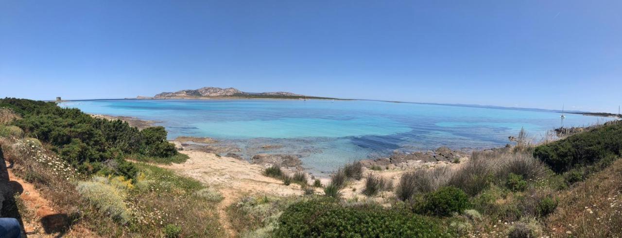 Apartamento Rosaspe Stintino Cuile Ezi Mannu Exterior foto